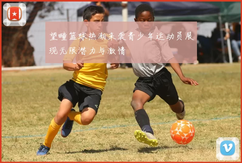 望疃篮球热潮来袭青少年运动员展现无限潜力与激情