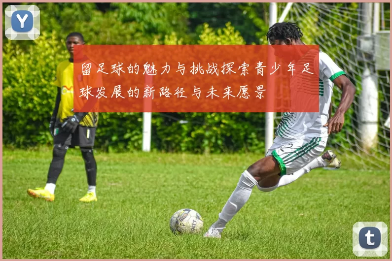 留足球的魅力与挑战探索青少年足球发展的新路径与未来愿景