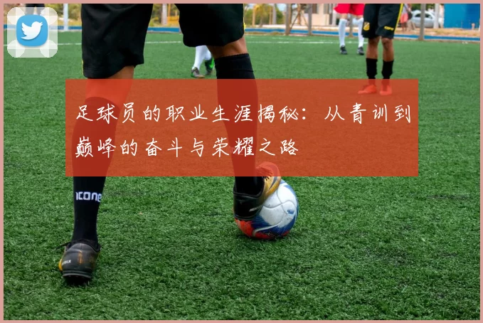 足球员的职业生涯揭秘：从青训到巅峰的奋斗与荣耀之路